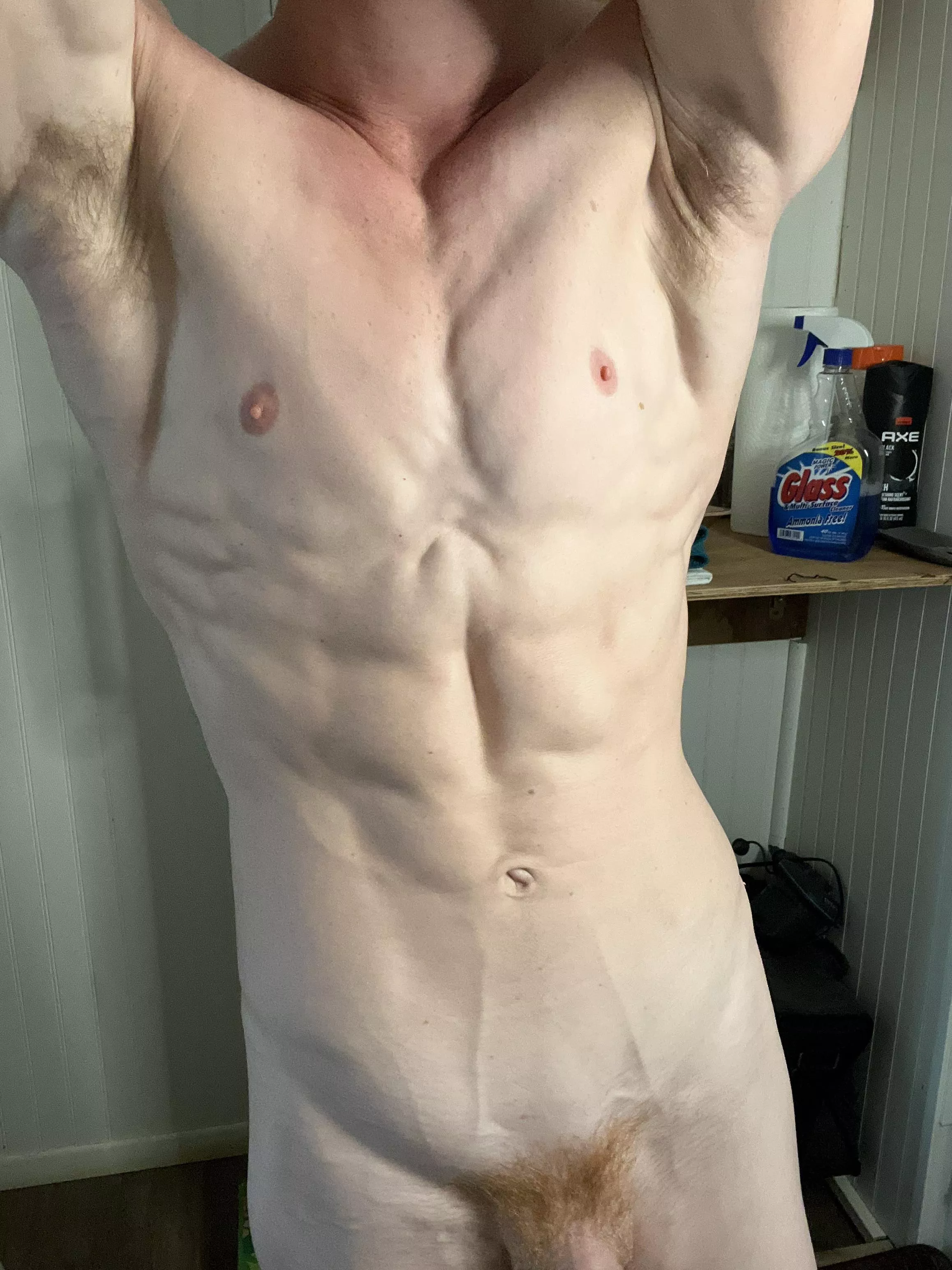 Ginger pits ready for your face😈