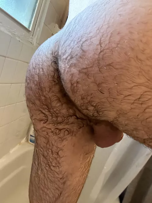 never done this. do you like my hairy ass?