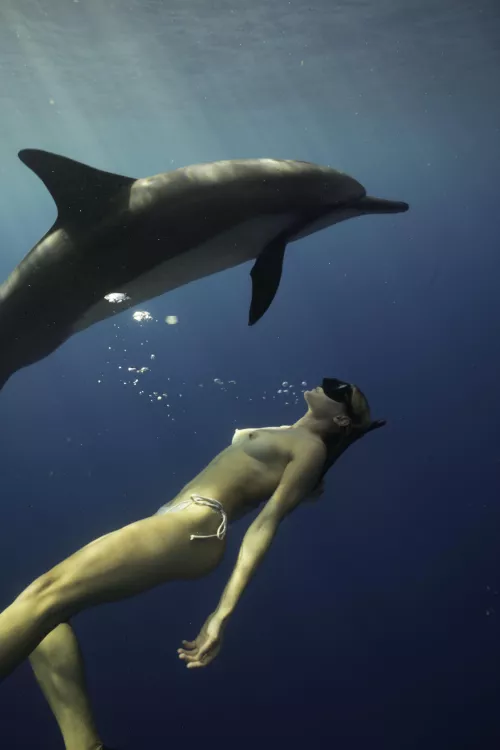 No freedoms greater than swimming topless with the dolphins…