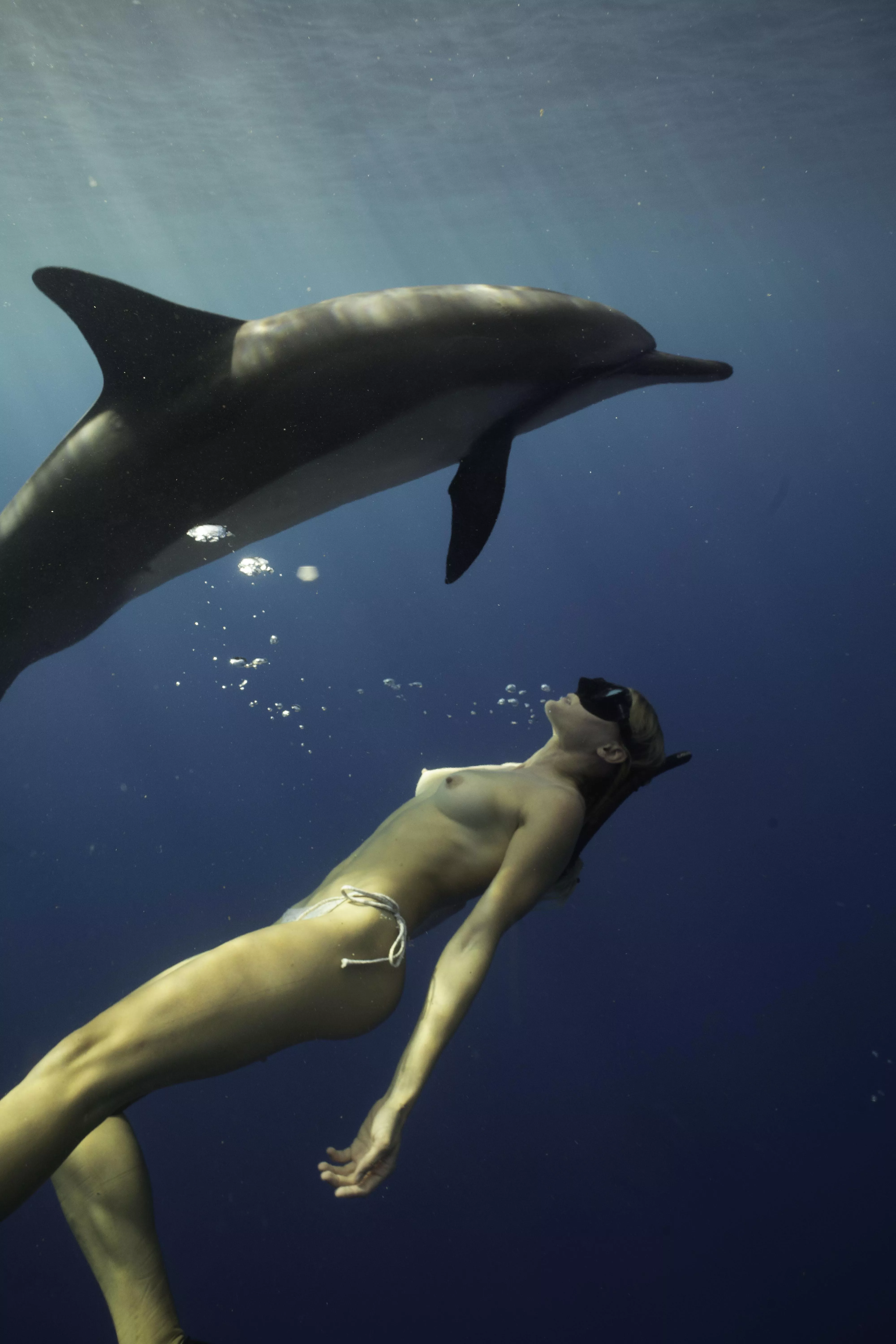 No freedoms greater than swimming topless with the dolphins…