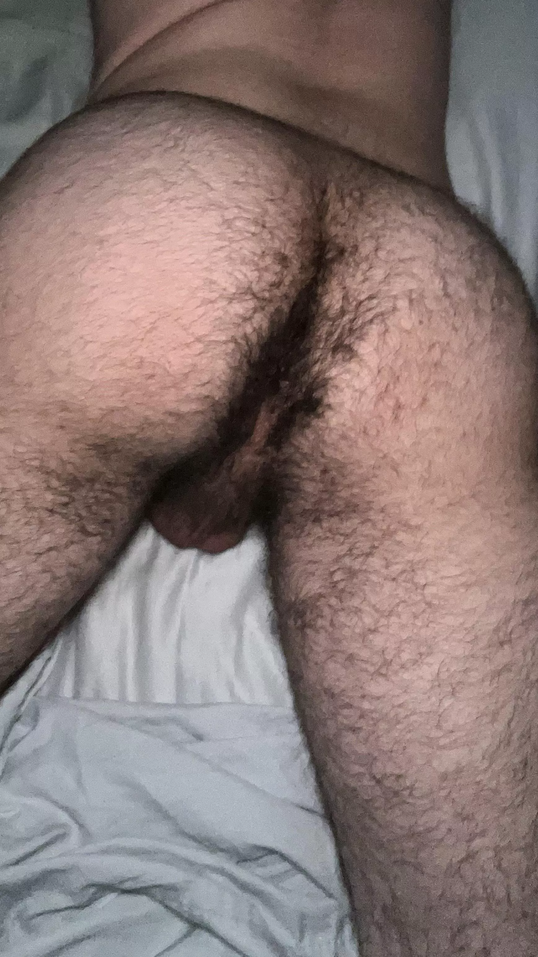 Who likes a hairy teen ass?