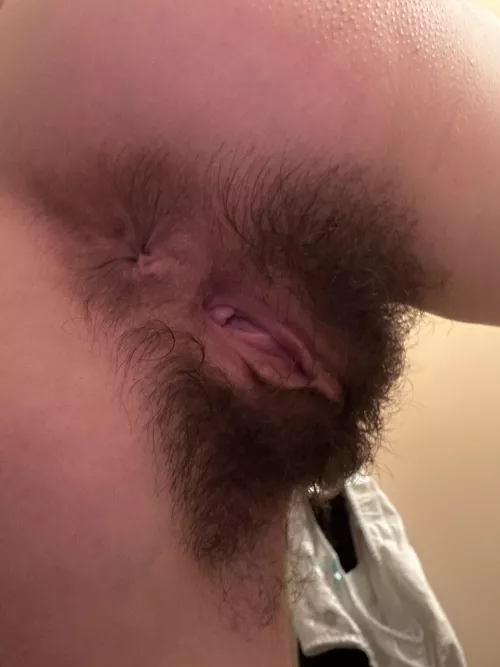 Describe this bush with a word