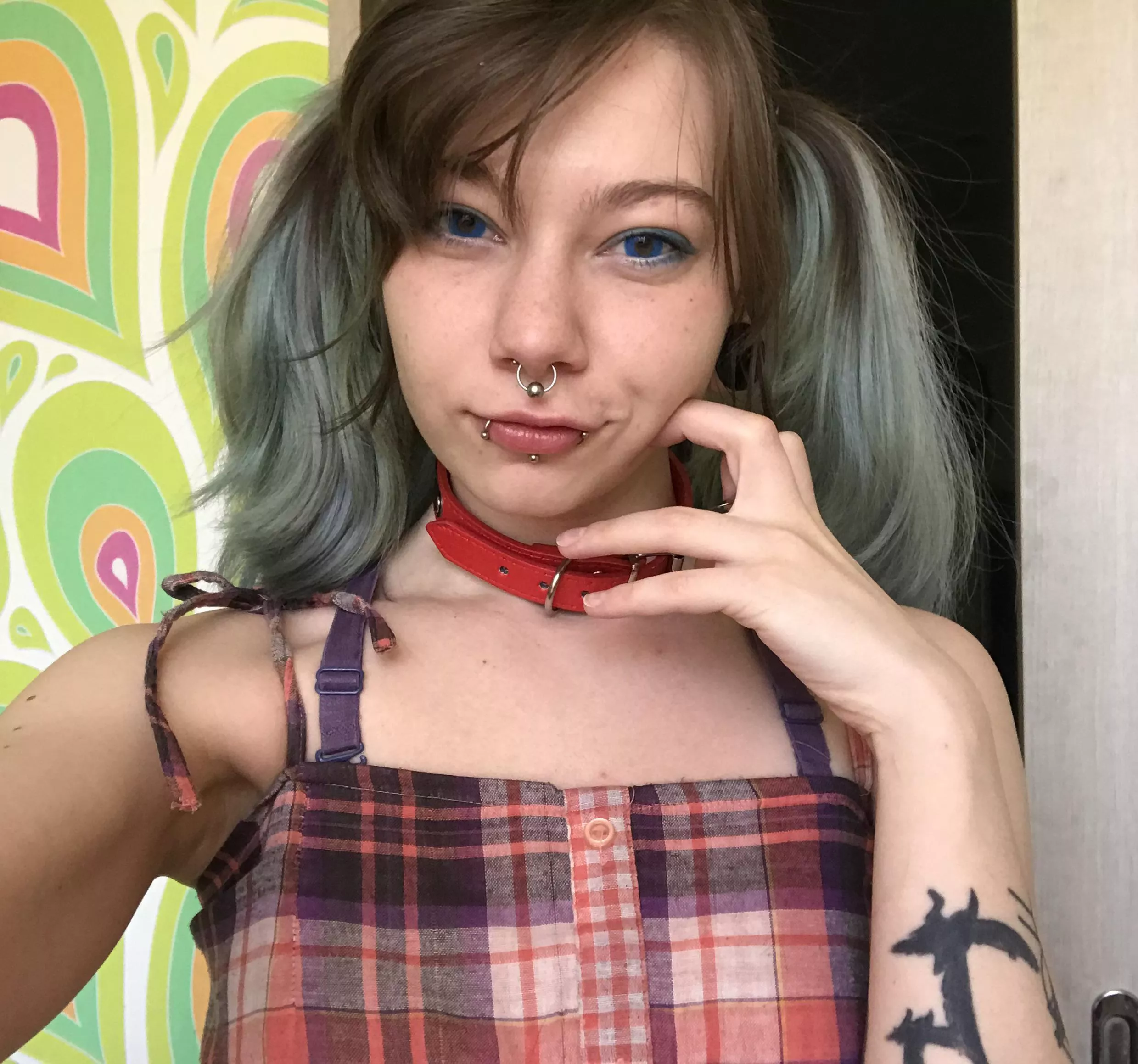 how do you like this red collar