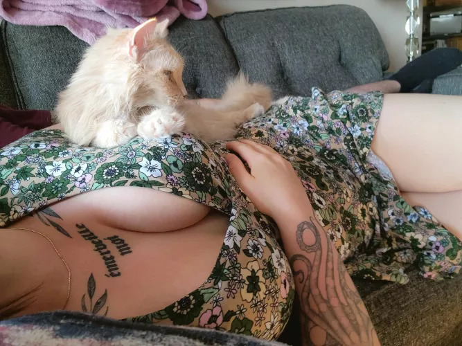 It's a cuddle puddle kind of day [F]