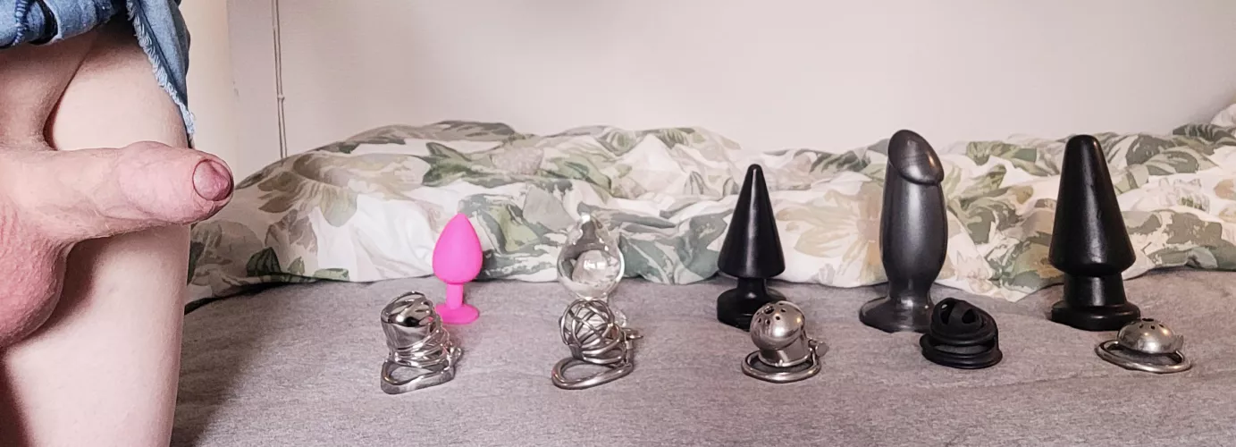 Which combo should I use today?