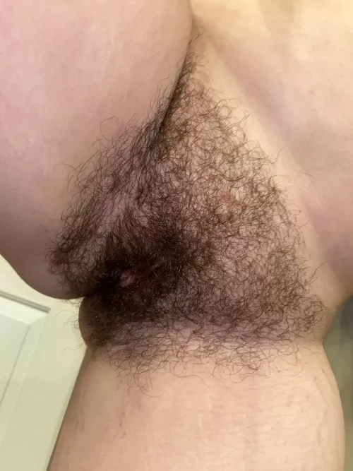Do you think I should shave soon…?