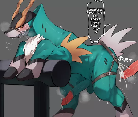 How Cobalion Has Sex (@3k2Xv)