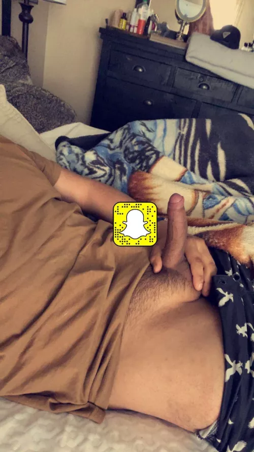 20m 5 inch chub looking for a jo bud