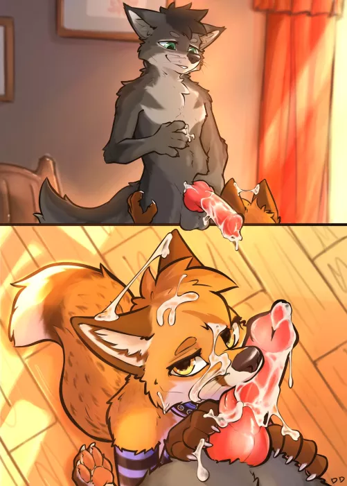 Foxes Love to Please (DDGIO)