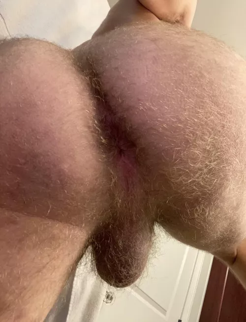 Hairy or shaved?