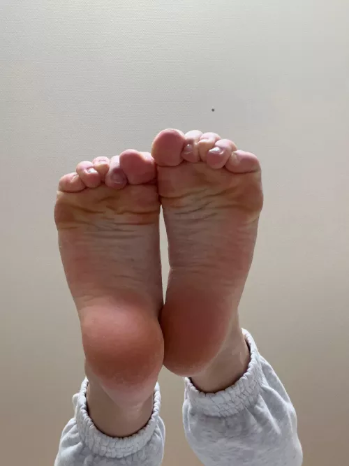 I need a king to take care of them