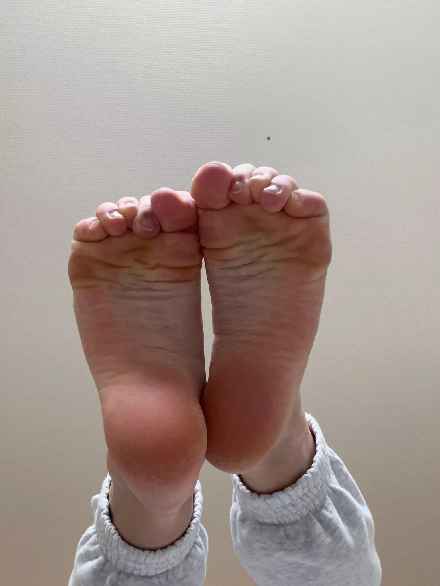 I need a king to take care of them