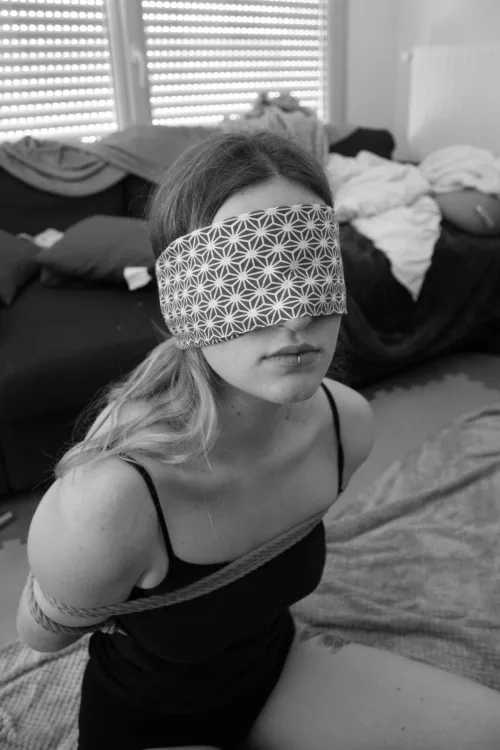 Very Good Chest Harness. Nice Blindfold as Well