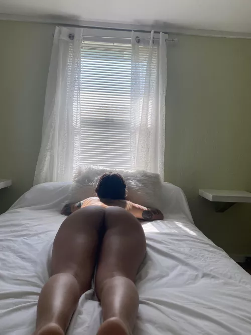 Watching the world over my window