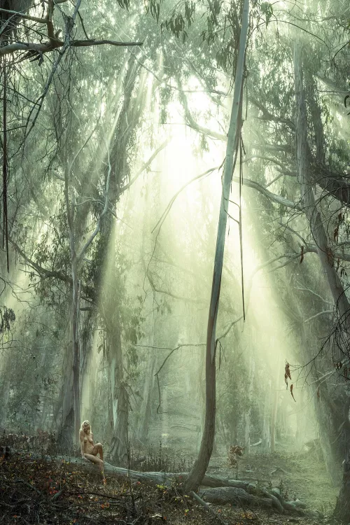 Alone in the forest…