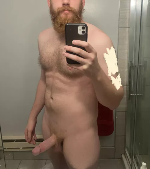 Bearded and girthy