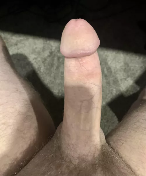 Company is enjoyable [36]