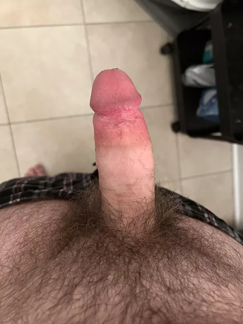 Do you like my dick or bush better?