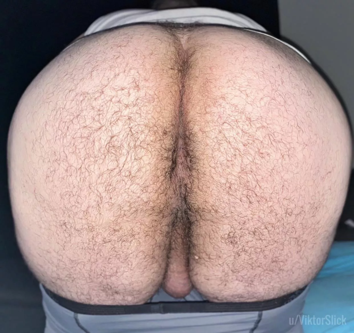 Having a taste or filling me up?