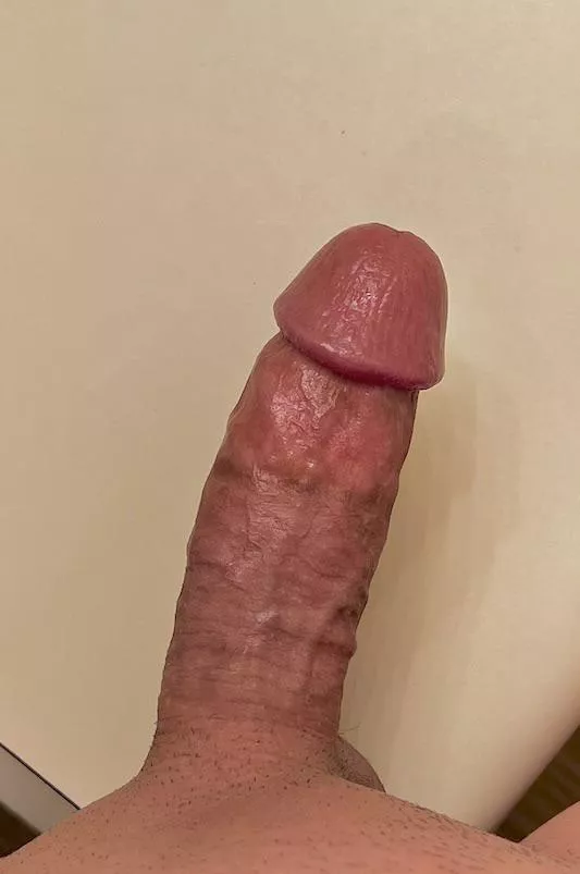 Let’s compare cocks!