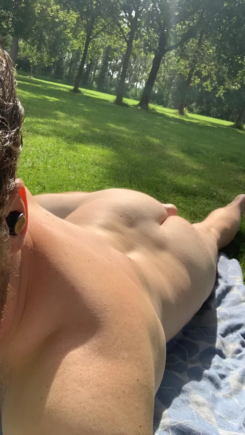 Lovely day in the sun at Vlietland