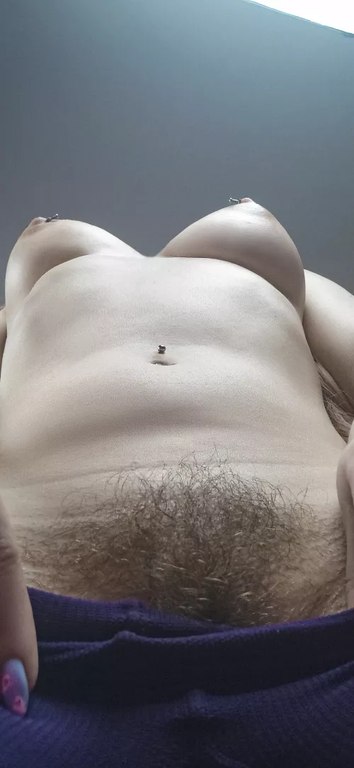 My bush dominates today