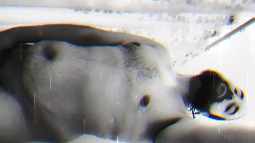 Owning my cub body 😝