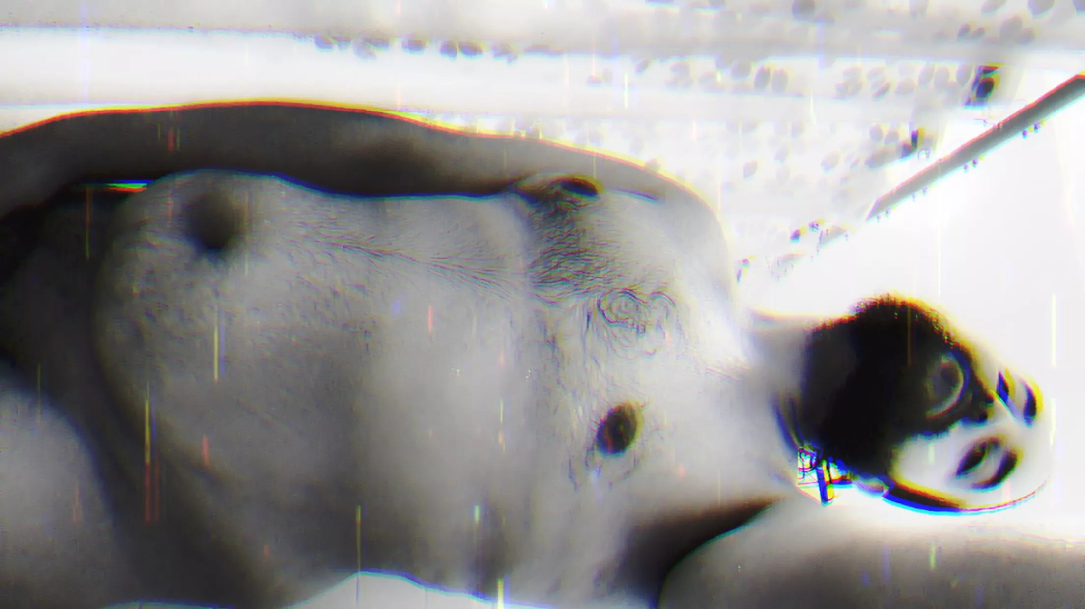 Owning my cub body 😝