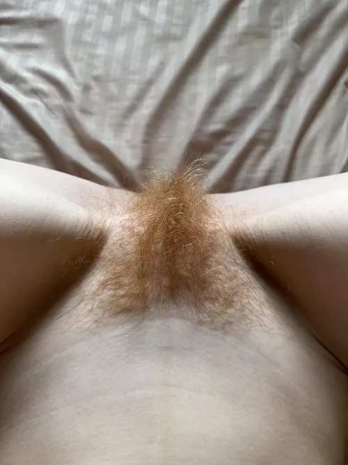 Redhead Fur. What do you think?