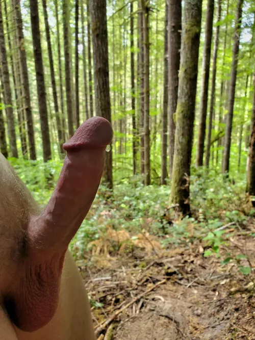 Trying to beat back the fire danger in the woods with a little of my own moisture