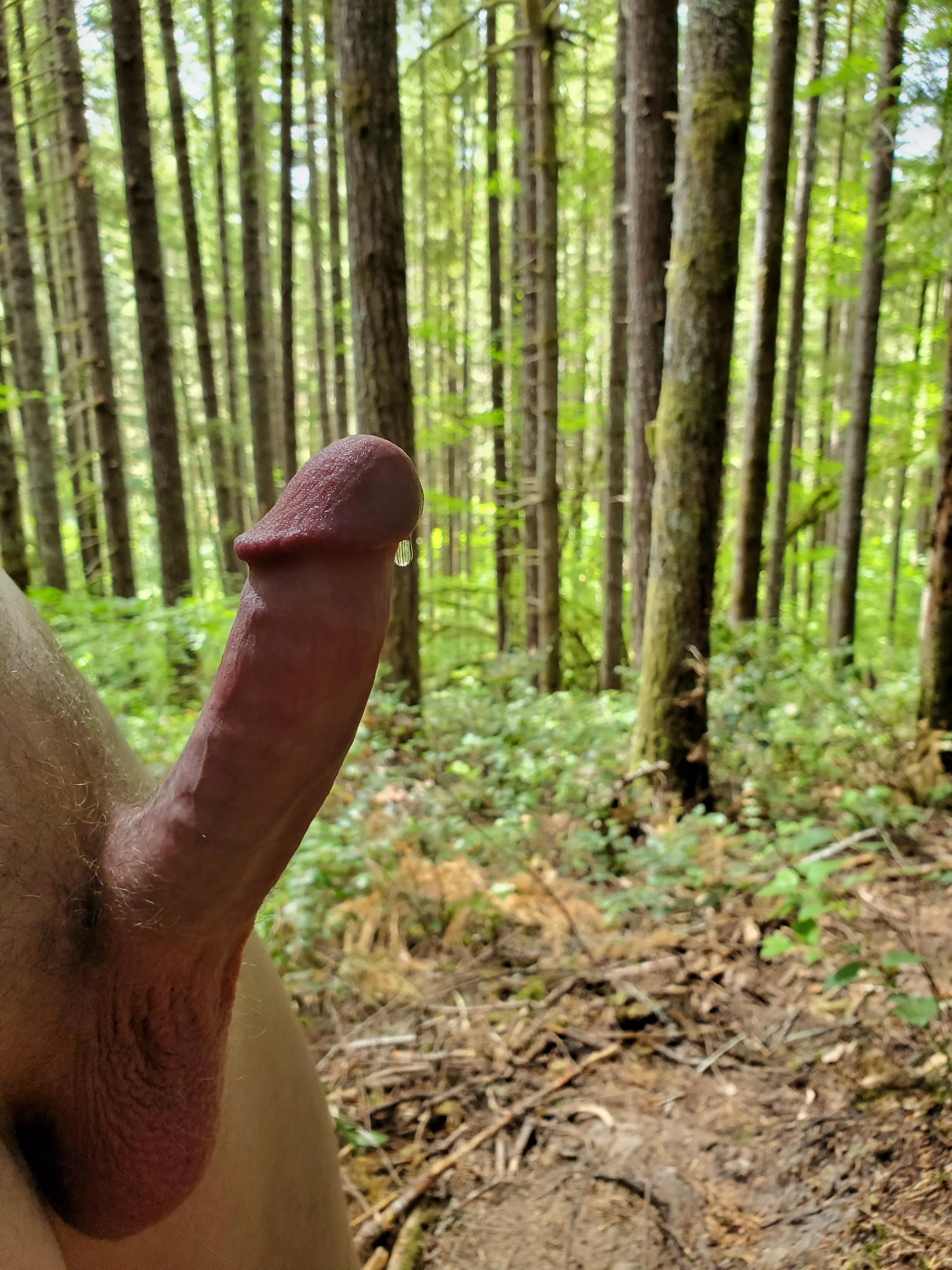 Trying to beat back the fire danger in the woods with a little of my own moisture