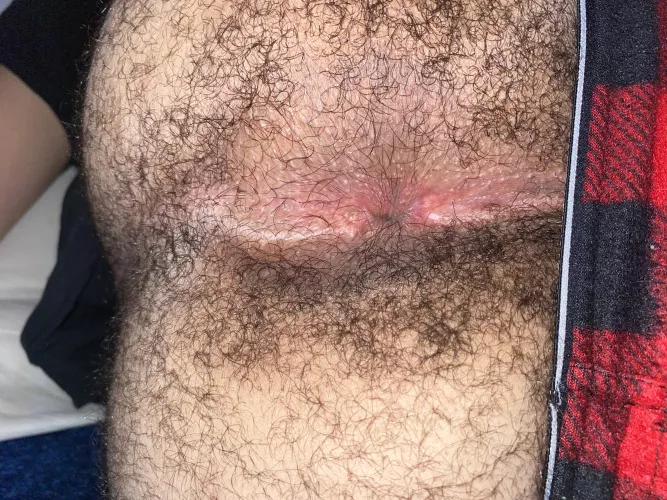 well bros what do you think?