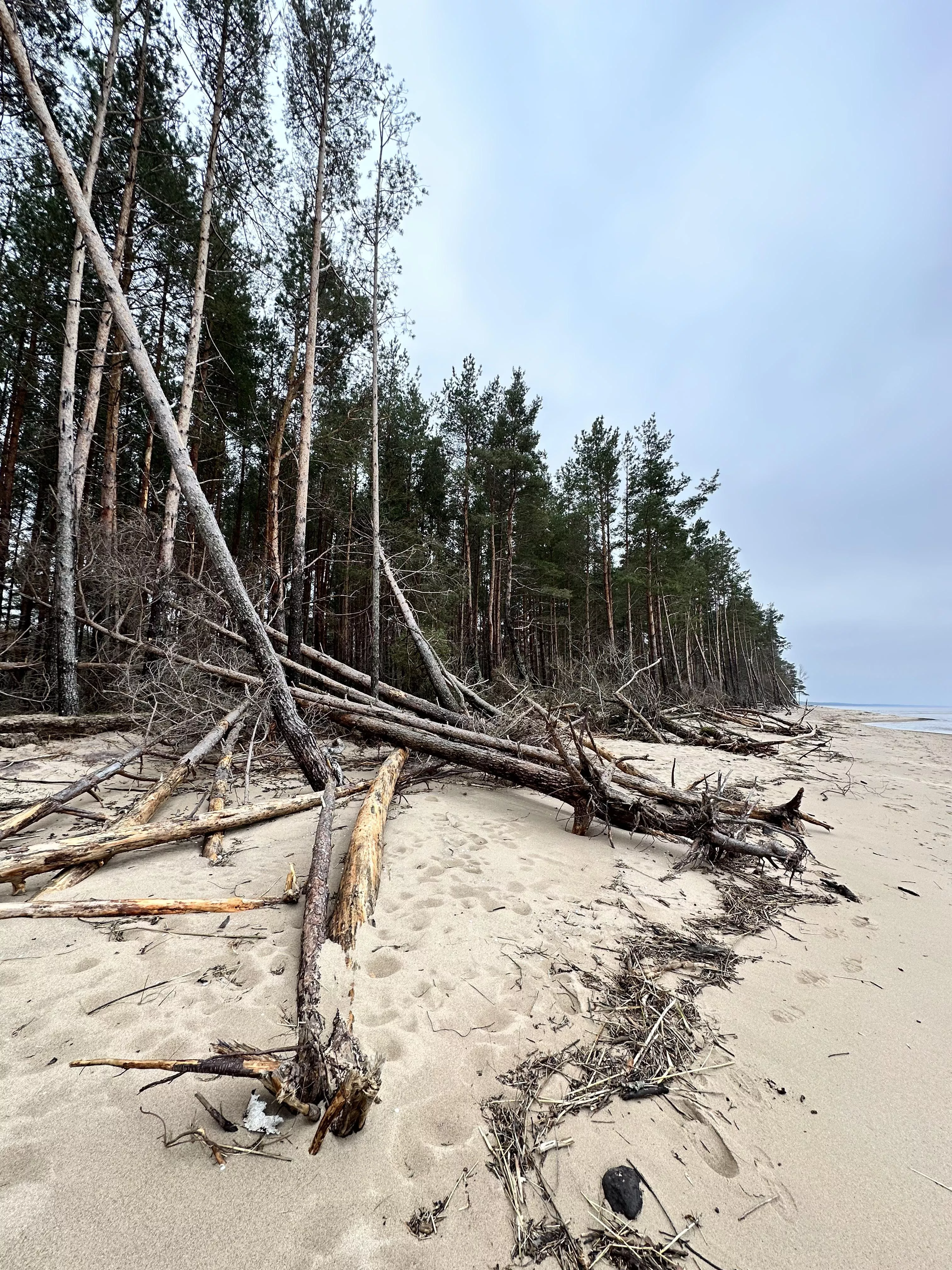 Wild beach, Gauja, Latvia