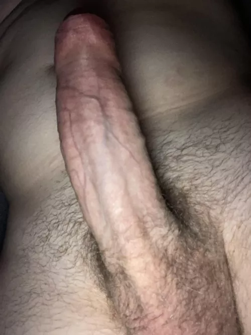 Would you lick my shaft?