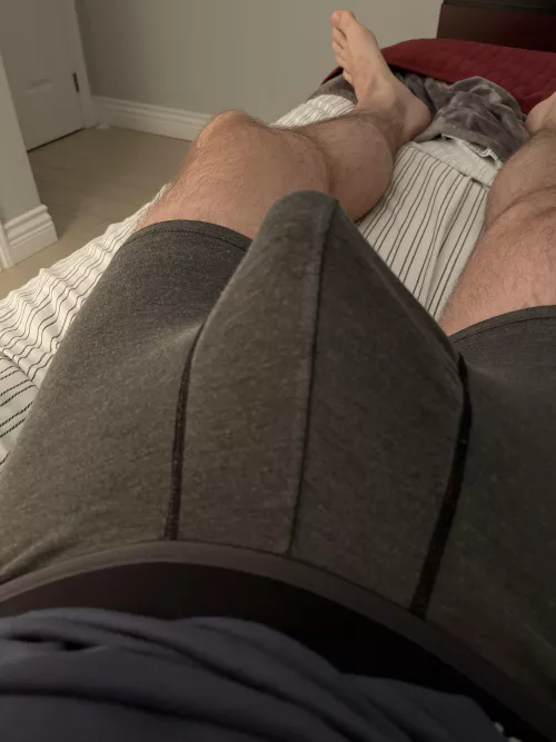 Begging for attention