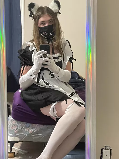 Does anyone need a maid ?