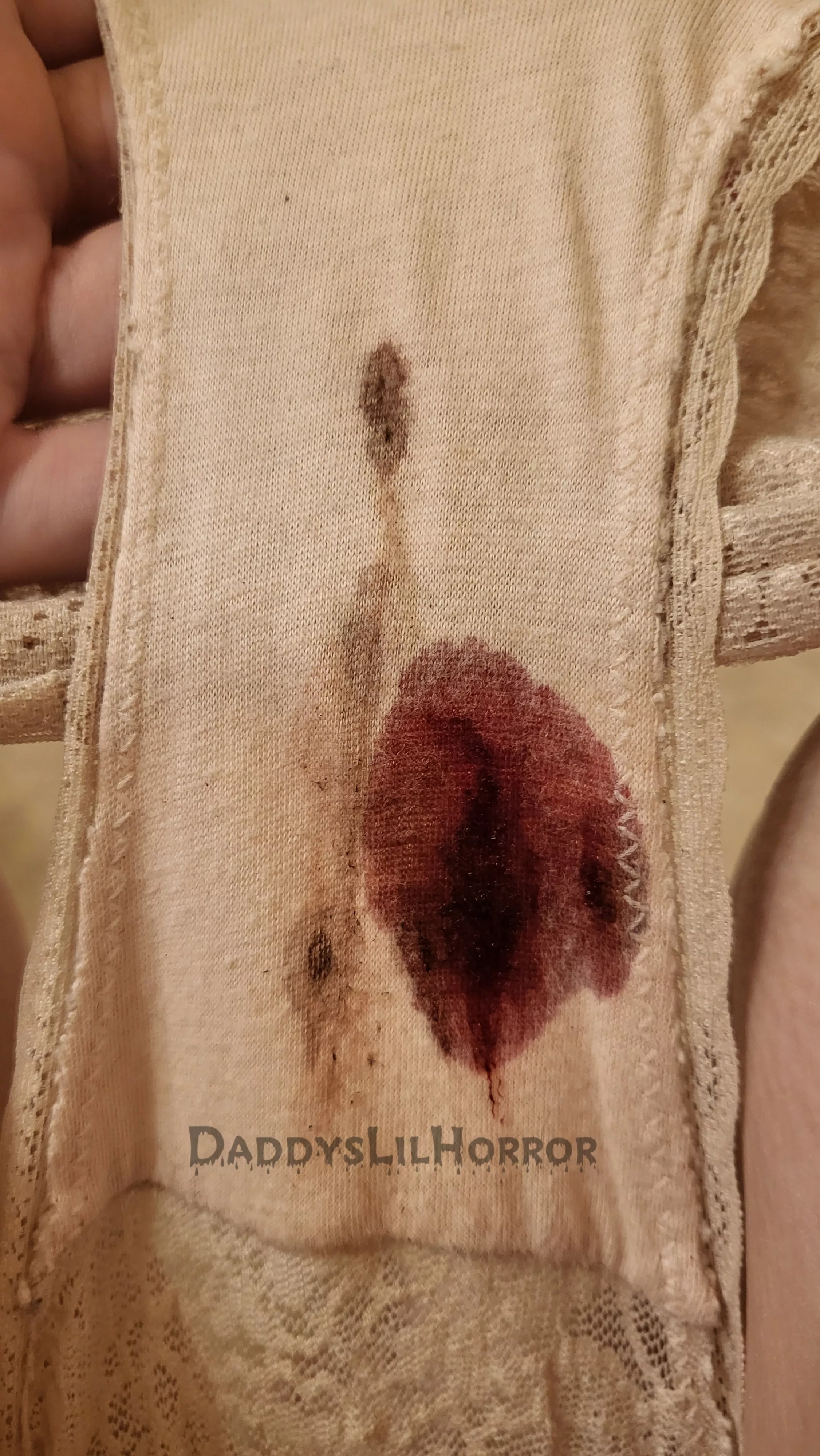 I Love Ruining Panties