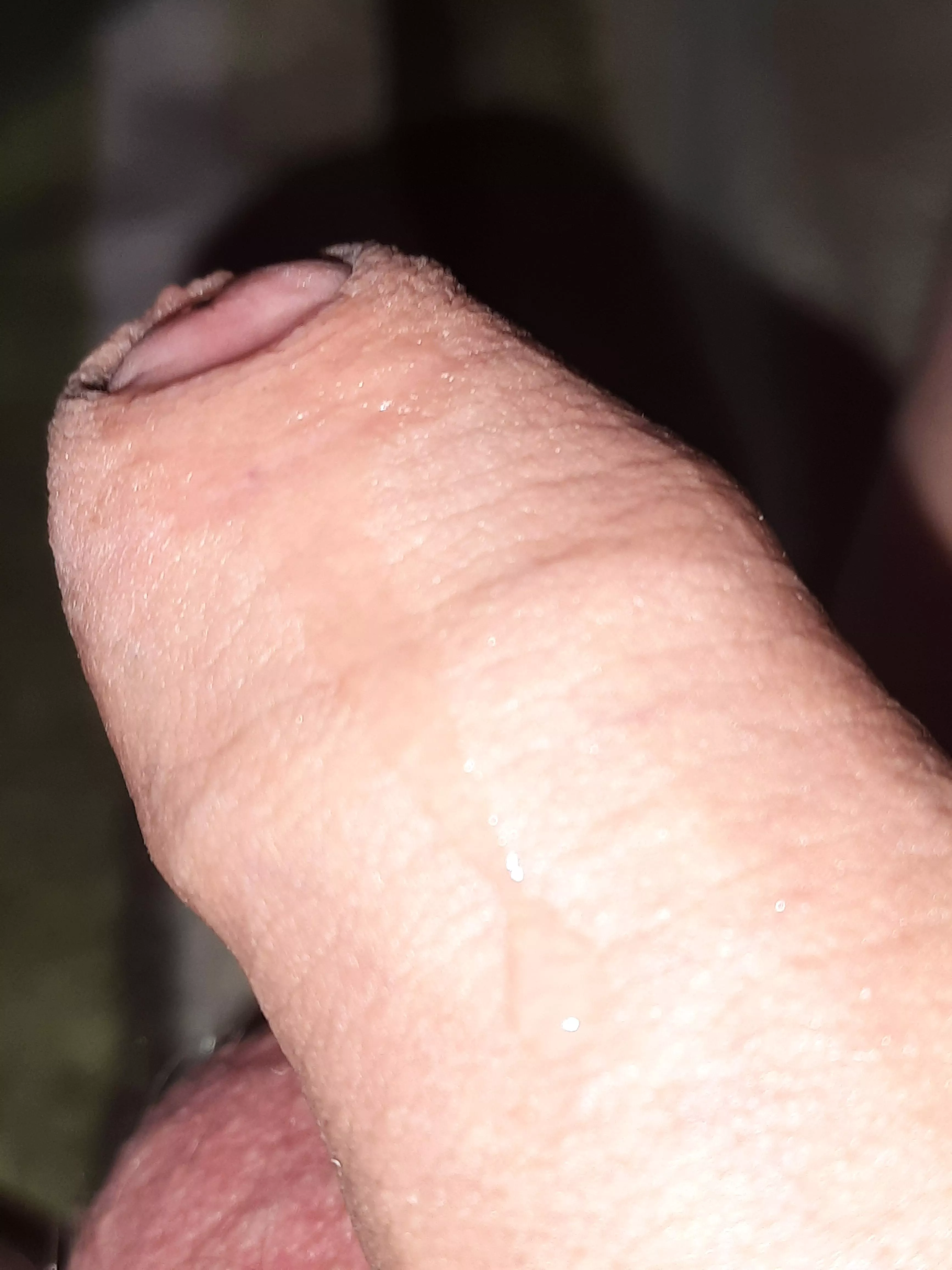 I was just watching porn