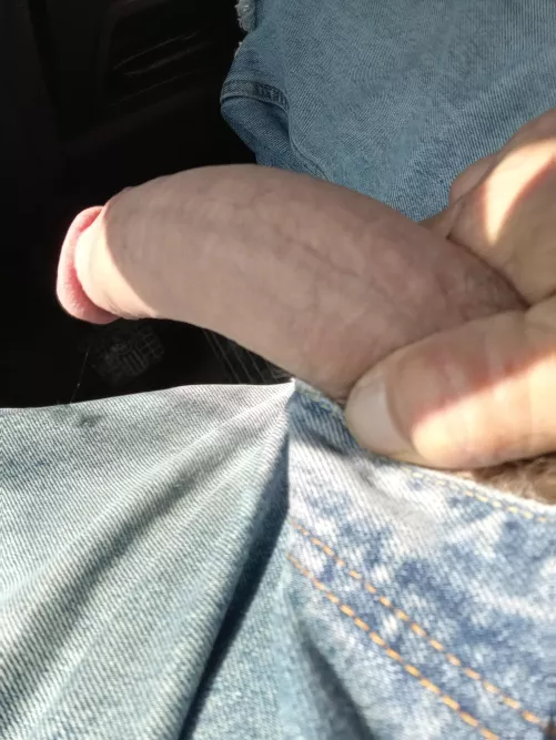 Little guy wanted to get out