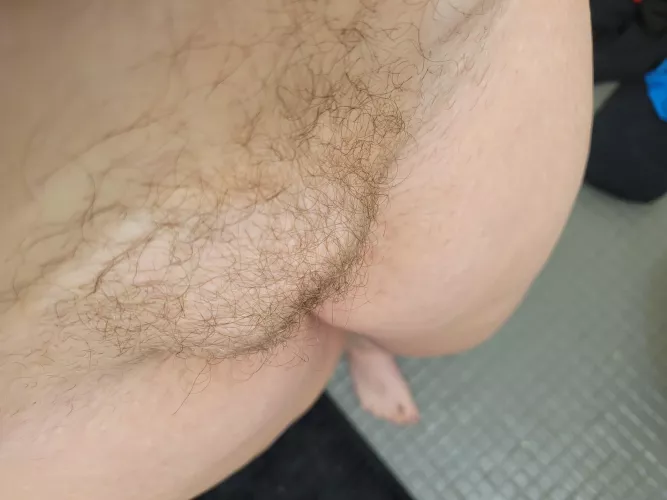 Should I trim it up, or grow it out?!