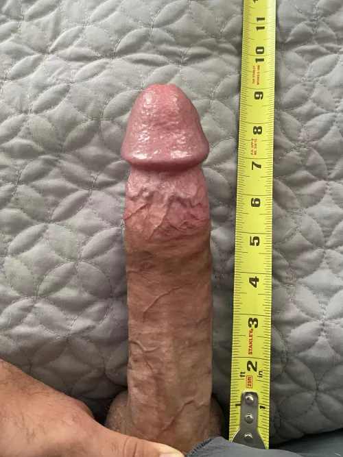 Size Matters