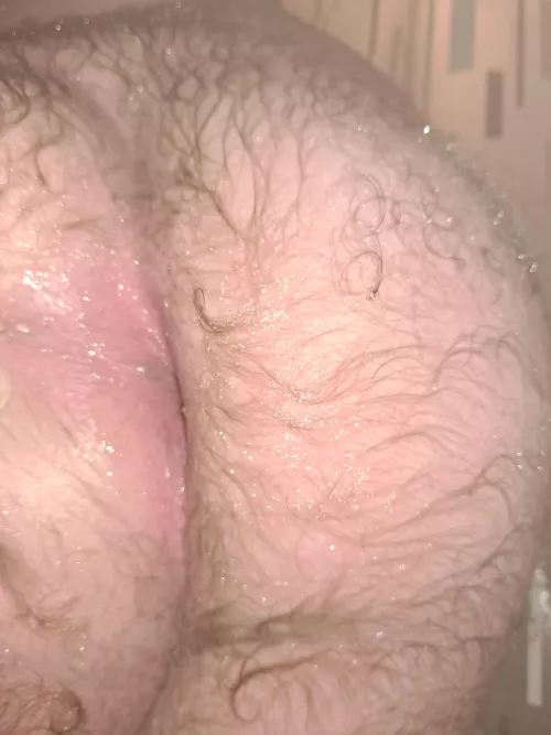 Want my ass to milk your cock?