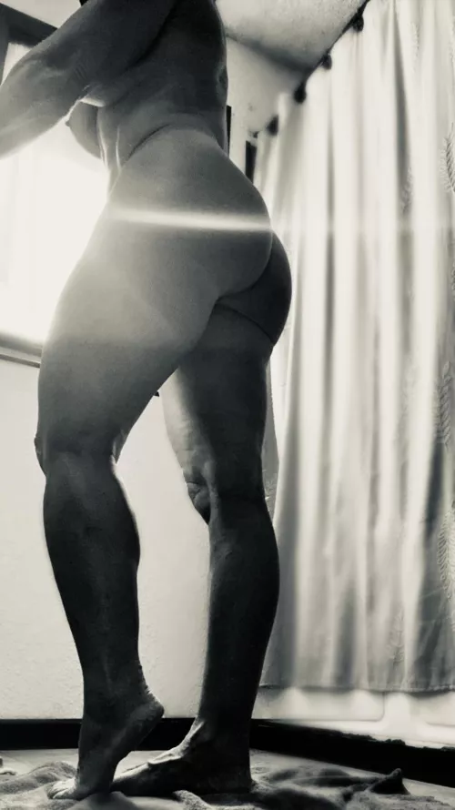 Anna Fine - Morning glow