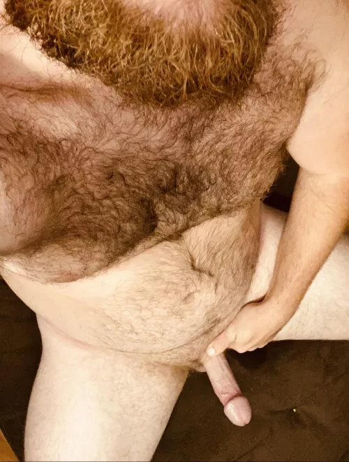 Anybody into hairy men with a average cock?