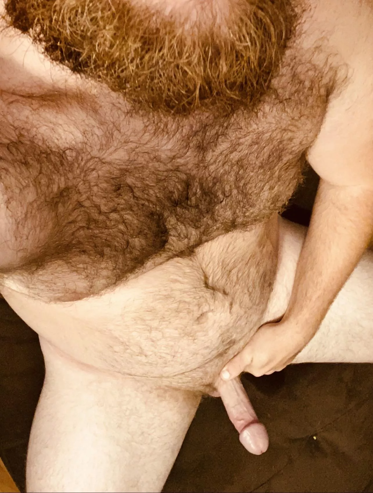 Anybody into hairy men with a average cock?