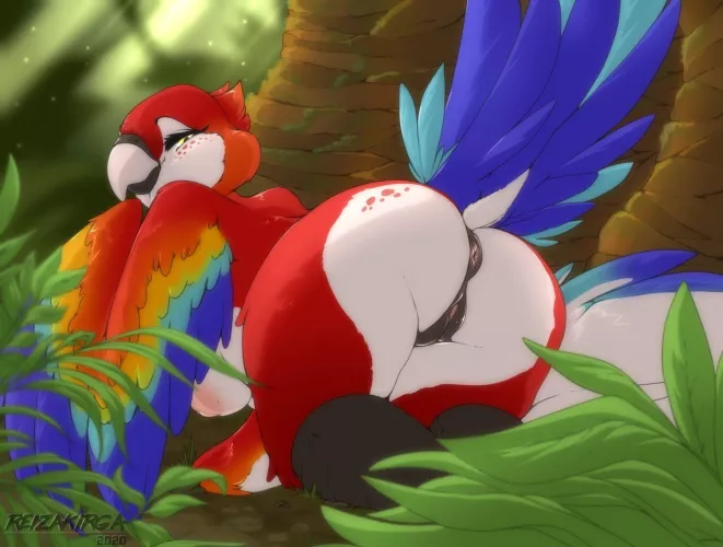 Burd [F] (Reizekirga)