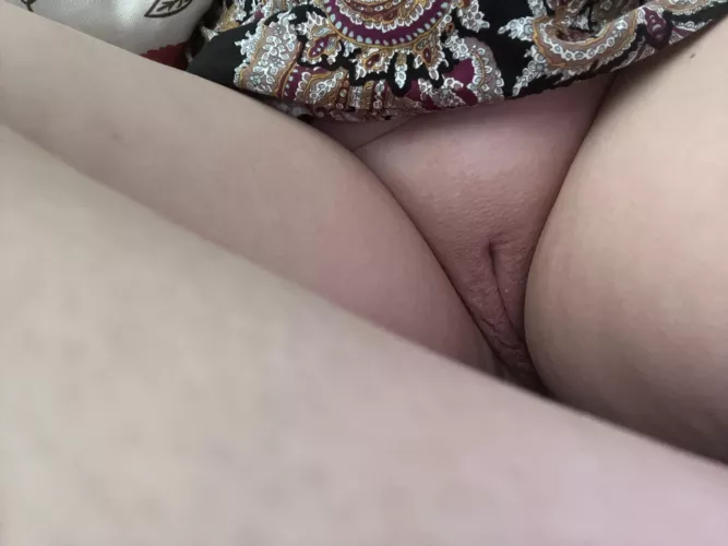 Dinner and a show (f51)