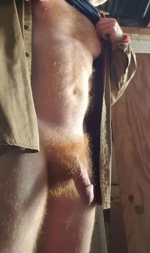 Do you like my ginger fur?