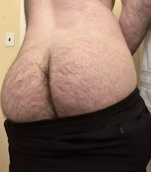 First time here, what do you think of my hairy ass?