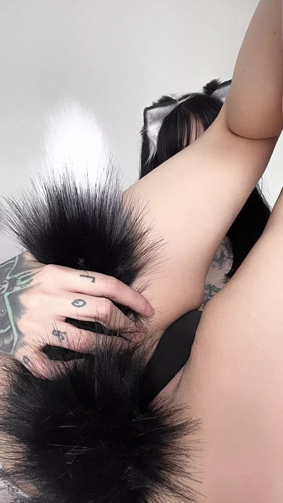 ready for playtime 🐾